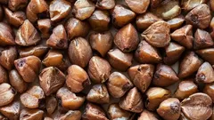 Odborník na výživu označil najviac podceňovanú superpotravinu: je lacnejšia ako chia a pôsobí účinnejšie