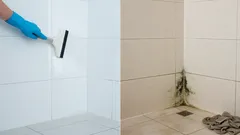 Pleseň v kúpeľni: 7 chýb pri upratovaní, kvôli ktorým sa stále vracia